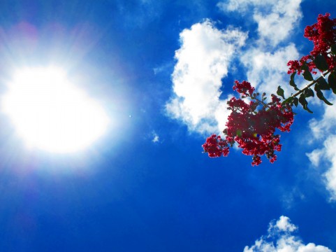 最近、空を見上げていますか？