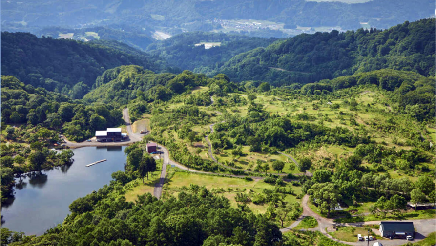 大人Citroenist Camp 募集開始⛺