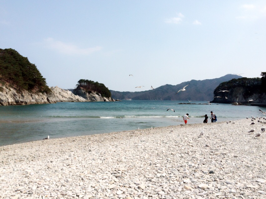 夏季休業のお知らせ