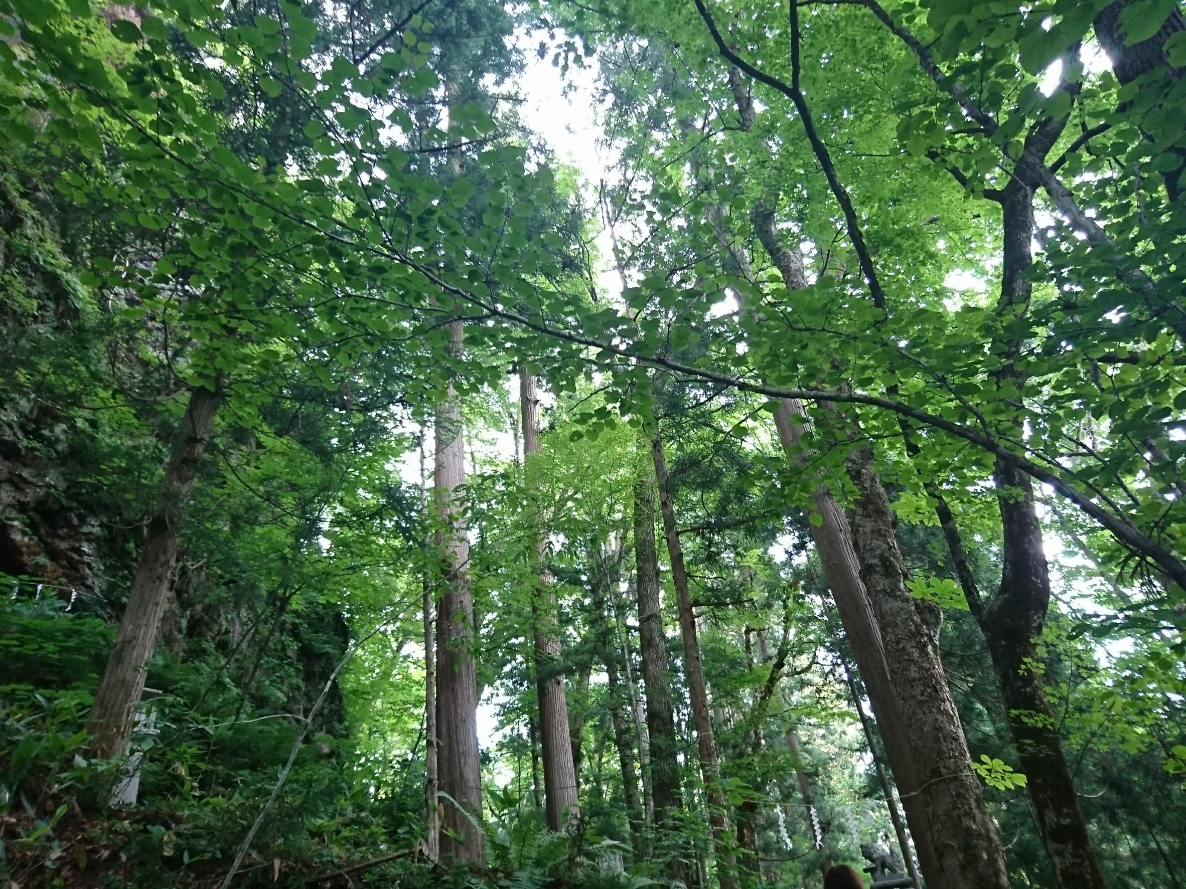 季節が変わり、そして私の決心も変わり