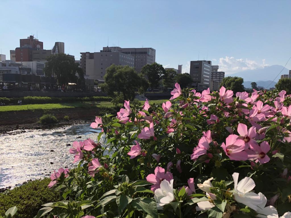 8月の定休日と夏季休業のお知らせ